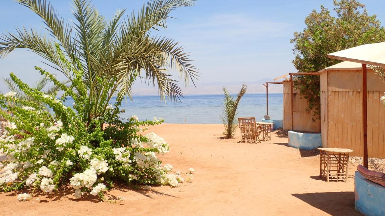 Hotel Bedouin Star Taba Esterno foto