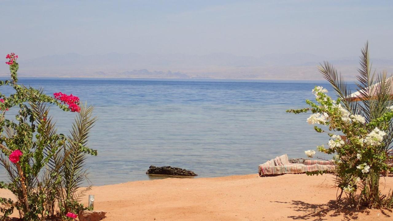 Hotel Bedouin Star Taba Esterno foto