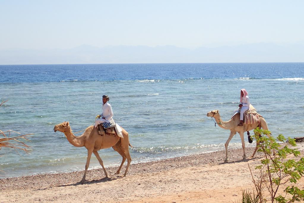 Hotel Bedouin Star Taba Esterno foto