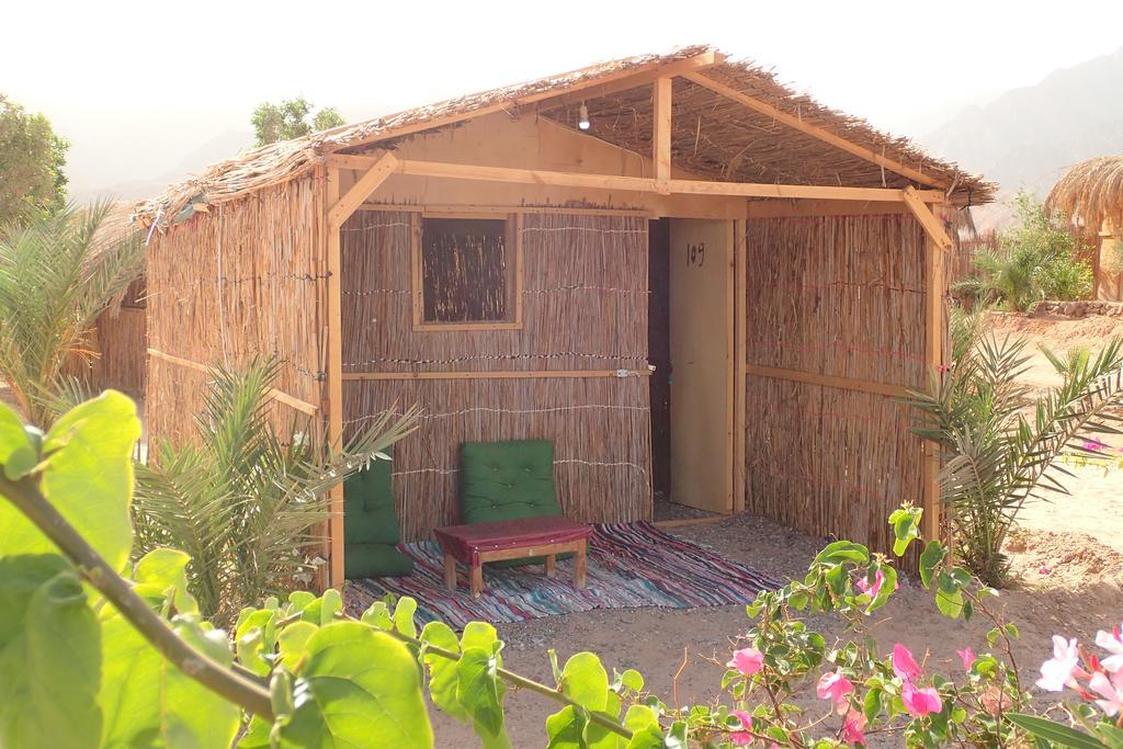 Hotel Bedouin Star Taba Esterno foto