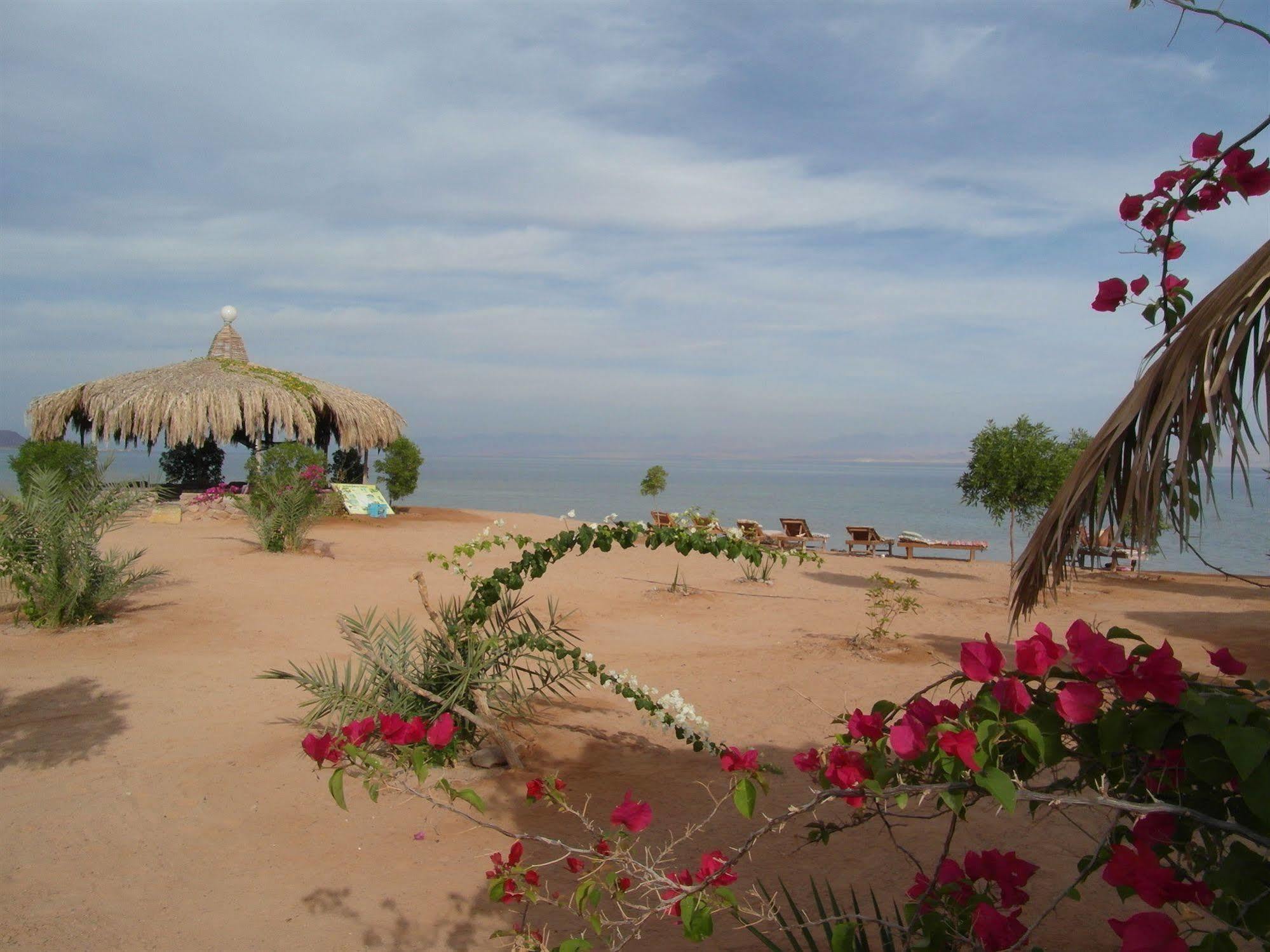 Hotel Bedouin Star Taba Esterno foto